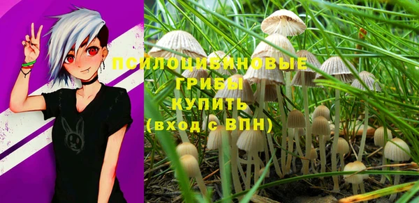 jwh Магас