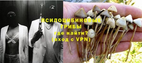 соль ск Мегион